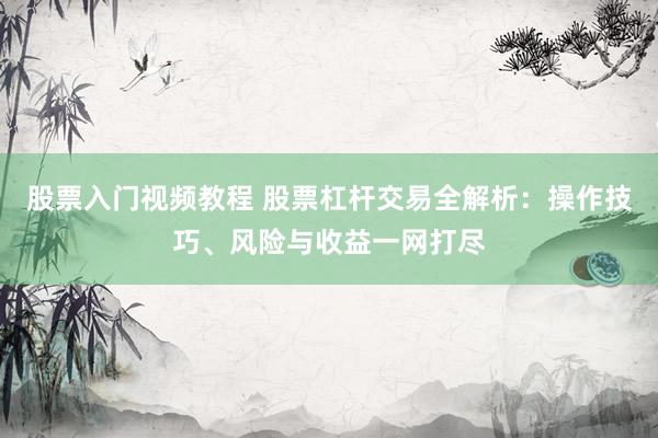 股票入门视频教程 股票杠杆交易全解析：操作技巧、风险与收益一网打尽