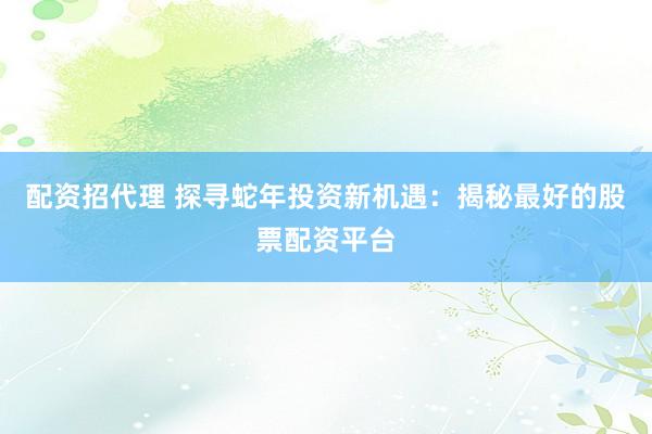 配资招代理 探寻蛇年投资新机遇：揭秘最好的股票配资平台