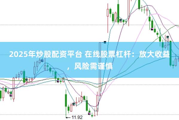 2025年炒股配资平台 在线股票杠杆：放大收益，风险需谨慎