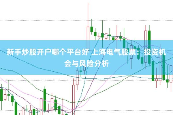 新手炒股开户哪个平台好 上海电气股票：投资机会与风险分析