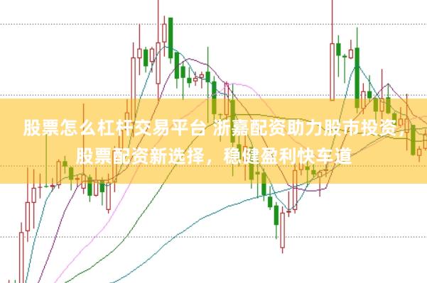 股票怎么杠杆交易平台 浙嘉配资助力股市投资，股票配资新选择，稳健盈利快车道