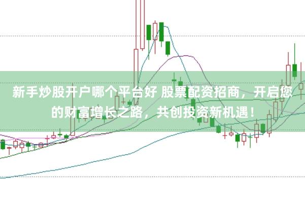 新手炒股开户哪个平台好 股票配资招商，开启您的财富增长之路，共创投资新机遇！