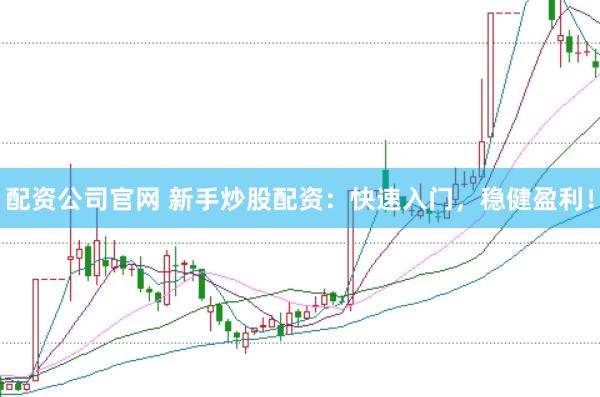 配资公司官网 新手炒股配资：快速入门，稳健盈利！