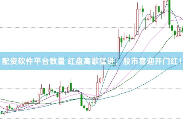 配资软件平台数量 红盘高歌猛进，股市喜迎开门红！