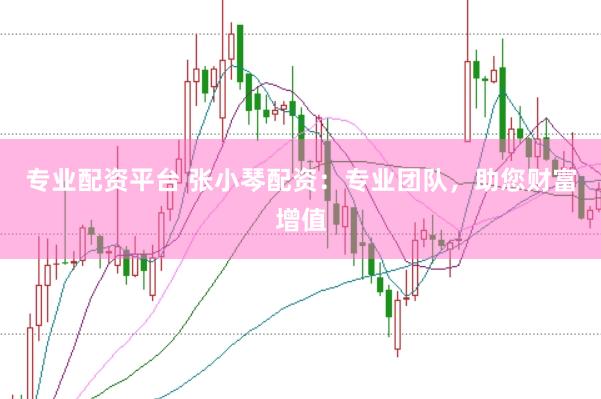 专业配资平台 张小琴配资：专业团队，助您财富增值