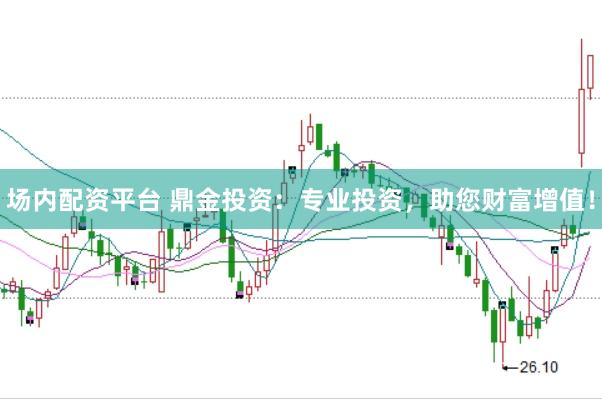 场内配资平台 鼎金投资：专业投资，助您财富增值！