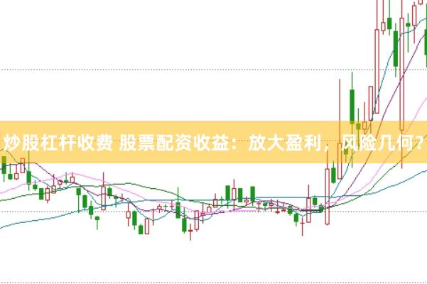 炒股杠杆收费 股票配资收益：放大盈利，风险几何？