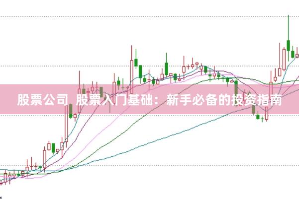股票公司  股票入门基础：新手必备的投资指南