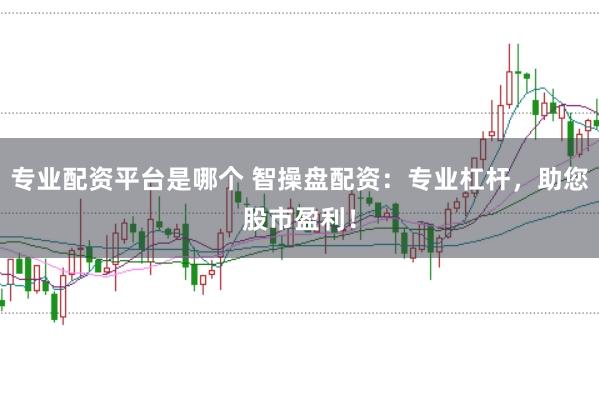 专业配资平台是哪个 智操盘配资：专业杠杆，助您股市盈利！