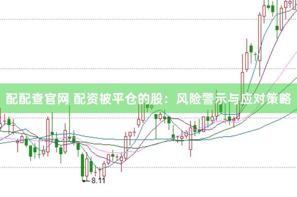 配配查官网 配资被平仓的股：风险警示与应对策略