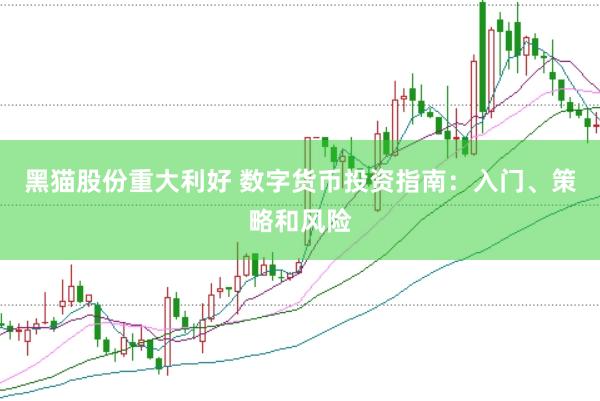 黑猫股份重大利好 数字货币投资指南：入门、策略和风险