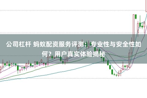 公司杠杆 蚂蚁配资服务评测：专业性与安全性如何？用户真实体验揭秘