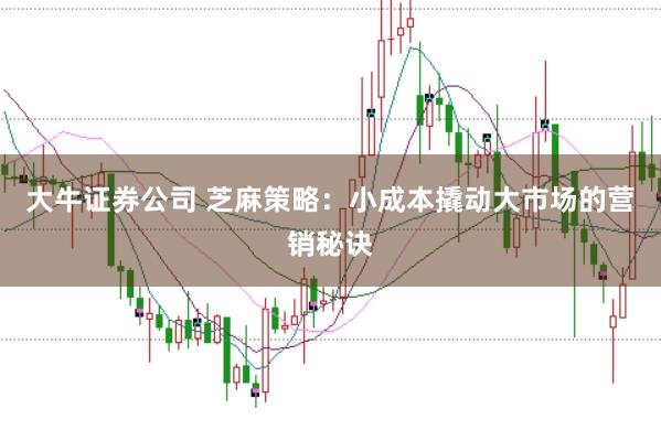 大牛证券公司 芝麻策略：小成本撬动大市场的营销秘诀