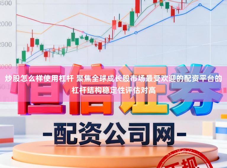 炒股怎么样使用杠杆 聚焦全球成长股市场最受欢迎的配资平台的杠杆结构稳定性评估对高