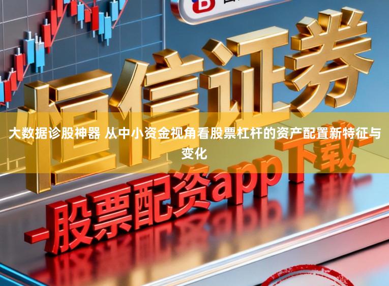 大数据诊股神器 从中小资金视角看股票杠杆的资产配置新特征与变化
