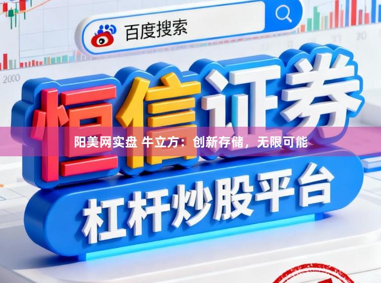阳美网实盘 牛立方：创新存储，无限可能